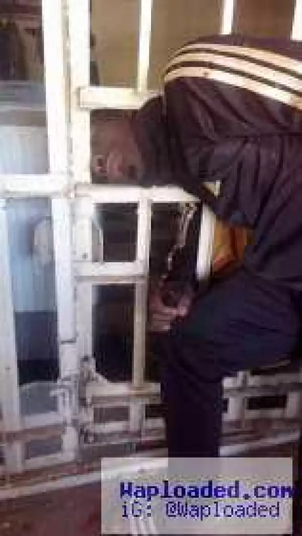 Lmao! Guy Goes To Rob Store Overnight But His Head Gets Stuck In Burglary Proof (Photos)